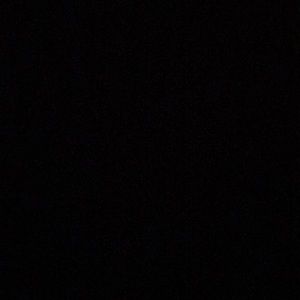 Meet your Posher, Frankie